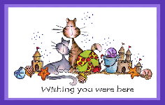 Beach Cats Card