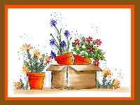 Box of Pots Card