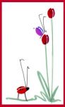 Lady Bug Coffee Bean Card