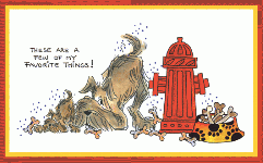 Shy Dog Card