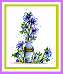 Twiggy Aster Vase
