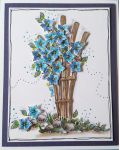 Clematis Card