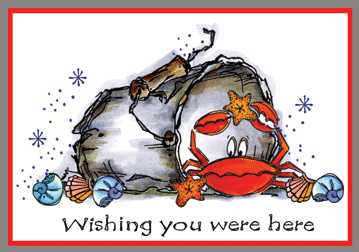 Crab in a Bucket Card