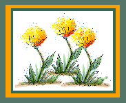 Dandelion Stems Card