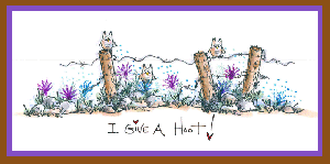 I Give A Hoot Card