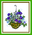 A Hanging Basket Card