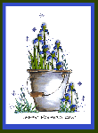 Iris Pail Card