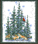 Lg. Woods Card