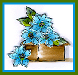 Lily Box Card