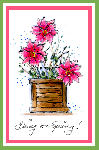 Lily Planter Box Card