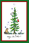 Evergreen Tree Card