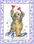 TP Griz Card