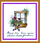 Window Box Card